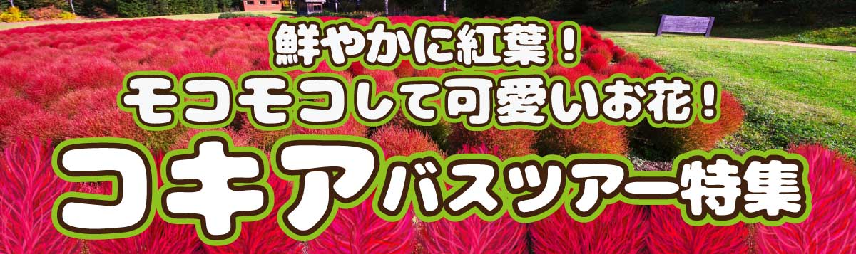 コキア 日帰り 宿泊バスツアー ベストワンバスツアー